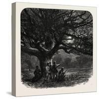 The Watch Oak, Windsor, UK, 19th Century-null-Stretched Canvas