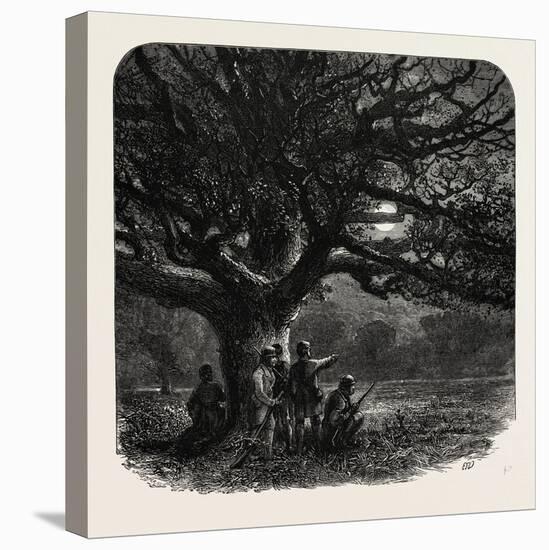 The Watch Oak, Windsor, UK, 19th Century-null-Stretched Canvas