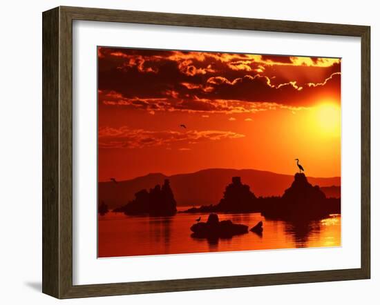 The Watcher-Philippe Sainte-Laudy-Framed Photographic Print