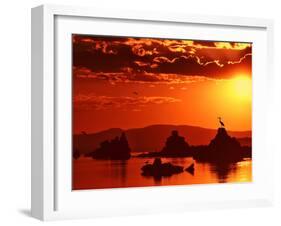 The Watcher-Philippe Sainte-Laudy-Framed Photographic Print