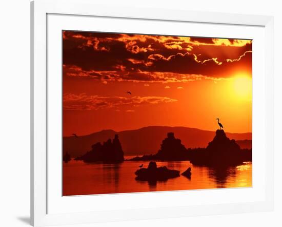 The Watcher-Philippe Sainte-Laudy-Framed Photographic Print