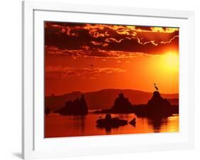 The Watcher-Philippe Sainte-Laudy-Framed Photographic Print