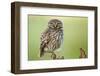 The Watcher-Kenny De Boeck-Framed Photographic Print