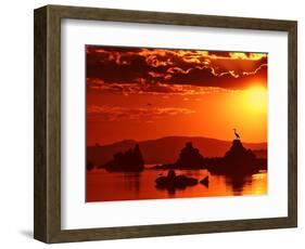 The Watcher-Philippe Sainte-Laudy-Framed Photographic Print