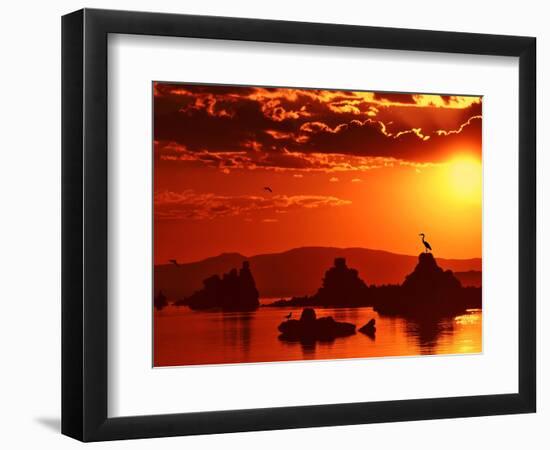 The Watcher-Philippe Sainte-Laudy-Framed Photographic Print