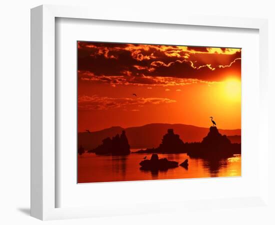 The Watcher-Philippe Sainte-Laudy-Framed Photographic Print