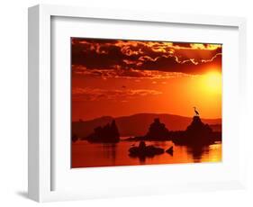 The Watcher-Philippe Sainte-Laudy-Framed Photographic Print