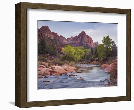 The Watchman, Cottonwood, Virgin River, Zion National Park, Utah, Usa-Rainer Mirau-Framed Photographic Print