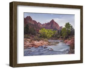 The Watchman, Cottonwood, Virgin River, Zion National Park, Utah, Usa-Rainer Mirau-Framed Photographic Print