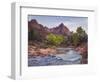 The Watchman, Cottonwood, Virgin River, Zion National Park, Utah, Usa-Rainer Mirau-Framed Photographic Print