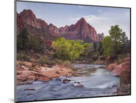 The Watchman, Cottonwood, Virgin River, Zion National Park, Utah, Usa-Rainer Mirau-Mounted Photographic Print