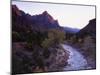 The Watchman Looms over the Virgin River at Sunset, Zion National Park, Utah, USA-Howie Garber-Mounted Premium Photographic Print