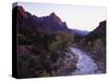 The Watchman Looms over the Virgin River at Sunset, Zion National Park, Utah, USA-Howie Garber-Stretched Canvas