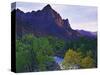 The Watchman Peak and the Virgin River, Zion National Park, Utah, USA-Dennis Flaherty-Stretched Canvas