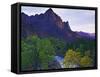The Watchman Peak and the Virgin River, Zion National Park, Utah, USA-Dennis Flaherty-Framed Stretched Canvas