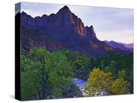The Watchman Peak and the Virgin River, Zion National Park, Utah, USA-Dennis Flaherty-Stretched Canvas