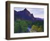 The Watchman Peak and the Virgin River, Zion National Park, Utah, USA-Dennis Flaherty-Framed Photographic Print