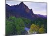 The Watchman Peak and the Virgin River, Zion National Park, Utah, USA-Dennis Flaherty-Mounted Photographic Print