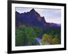 The Watchman Peak and the Virgin River, Zion National Park, Utah, USA-Dennis Flaherty-Framed Photographic Print