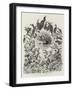 The Water Birds of the British Islands-John Everett Millais-Framed Giclee Print