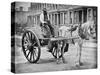 The Water-Cart, from 'Street Life in London', by J. Thomson and Adolphe Smith, 1877-John Thomson-Stretched Canvas