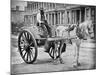 The Water-Cart, from 'Street Life in London', by J. Thomson and Adolphe Smith, 1877-John Thomson-Mounted Giclee Print