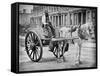 The Water-Cart, from 'Street Life in London', by J. Thomson and Adolphe Smith, 1877-John Thomson-Framed Stretched Canvas