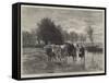 The Water-Cart-Constant-emile Troyon-Framed Stretched Canvas