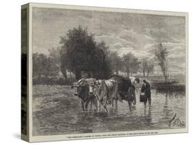The Water-Cart-Constant-emile Troyon-Stretched Canvas