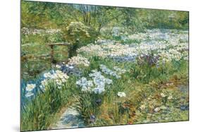 The Water Garden, 1909-Frederick Childe Hassam-Mounted Premium Giclee Print