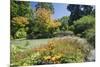 The Water Garden, Christchurch Botanic Gardens, Christchurch, Canterbury, South Island, New Zealand-Ruth Tomlinson-Mounted Photographic Print