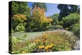 The Water Garden, Christchurch Botanic Gardens, Christchurch, Canterbury, South Island, New Zealand-Ruth Tomlinson-Stretched Canvas