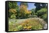 The Water Garden, Christchurch Botanic Gardens, Christchurch, Canterbury, South Island, New Zealand-Ruth Tomlinson-Framed Stretched Canvas