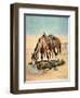 The Water Hole-Stanley L. Wood-Framed Giclee Print