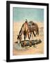 The Water Hole-Stanley L. Wood-Framed Giclee Print