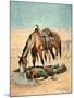 The Water Hole-Stanley L. Wood-Mounted Giclee Print
