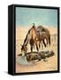 The Water Hole-Stanley L. Wood-Framed Stretched Canvas