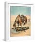 The Water Hole-Stanley L. Wood-Framed Giclee Print