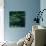 The Water Lilies (Les Nymphéa)-Claude Monet-Giclee Print displayed on a wall