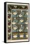 The water lily, Nelumbo lutea, in wallpaper and tile patterns. Lithograph by Verneuil.-null-Framed Stretched Canvas