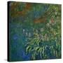 The Water Lily Pond, 1919-1925-Claude Monet-Stretched Canvas