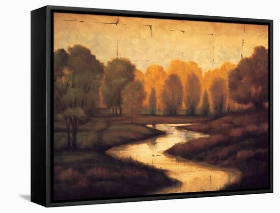 The Water^s Edge I-Gregory Williams-Framed Stretched Canvas