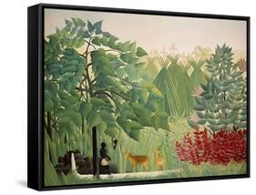 The Waterfall, 1910-Henri Rousseau-Framed Stretched Canvas