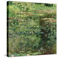 The Waterlily Pond, 1904-Claude Monet-Stretched Canvas