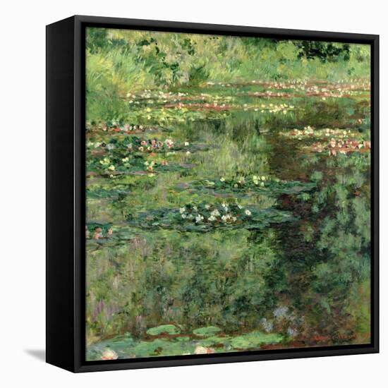 The Waterlily Pond, 1904-Claude Monet-Framed Stretched Canvas