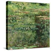 The Waterlily Pond, 1904-Claude Monet-Stretched Canvas