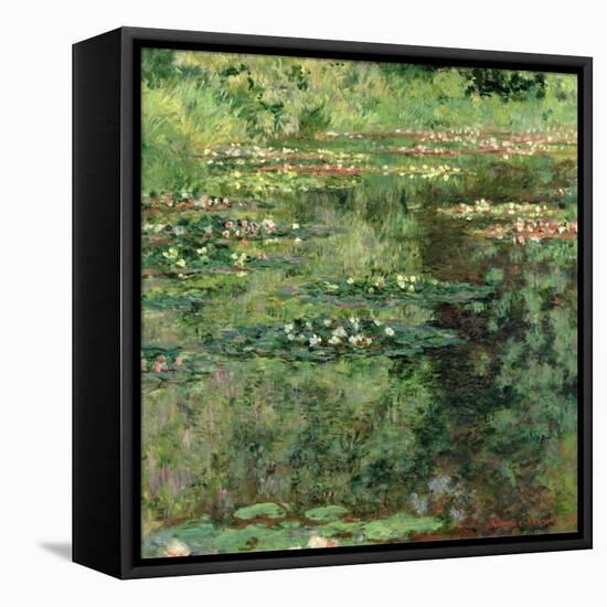 The Waterlily Pond, 1904-Claude Monet-Framed Stretched Canvas