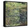 The Waterlily Pond, 1904-Claude Monet-Framed Stretched Canvas