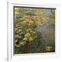 The Waterlily Pond, 1919-Claude Monet-Framed Giclee Print