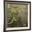 The Waterlily Pond, 1919-Claude Monet-Framed Giclee Print